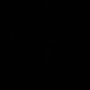 Meet your Posher, Arionne